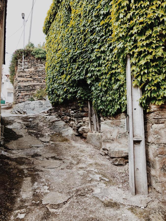 Casa Do Douro Pensionat Alijó Eksteriør billede